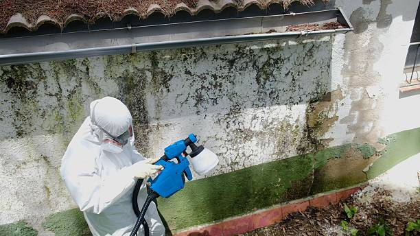 Mold Removal service in New Hope